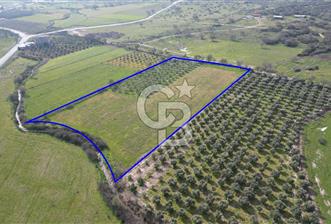 ALİAĞA ÇITAK'TA CB İYA'DAN SATILIK TARLA - 1 - 339462