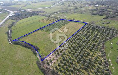 ALİAĞA ÇITAK'TA CB İYA'DAN SATILIK TARLA