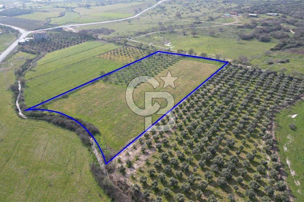 ALİAĞA ÇITAK'TA CB İYA'DAN SATILIK TARLA