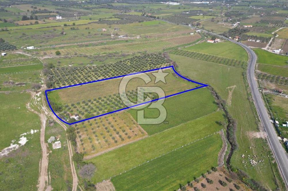 ALİAĞA ÇITAK'TA CB İYA'DAN SATILIK TARLA