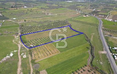 ALİAĞA ÇITAK'TA CB İYA'DAN SATILIK TARLA