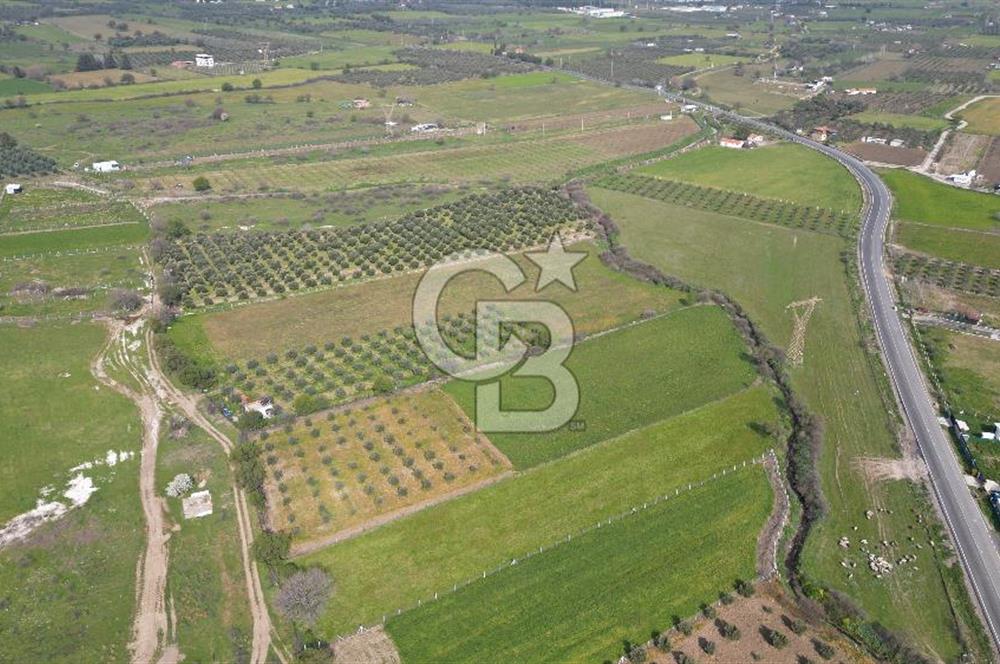 ALİAĞA ÇITAK'TA CB İYA'DAN SATILIK TARLA