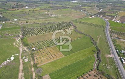 ALİAĞA ÇITAK'TA CB İYA'DAN SATILIK TARLA