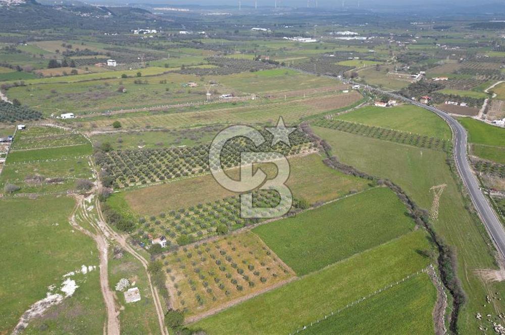 ALİAĞA ÇITAK'TA CB İYA'DAN SATILIK TARLA