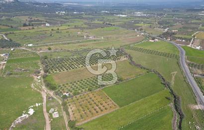 ALİAĞA ÇITAK'TA CB İYA'DAN SATILIK TARLA