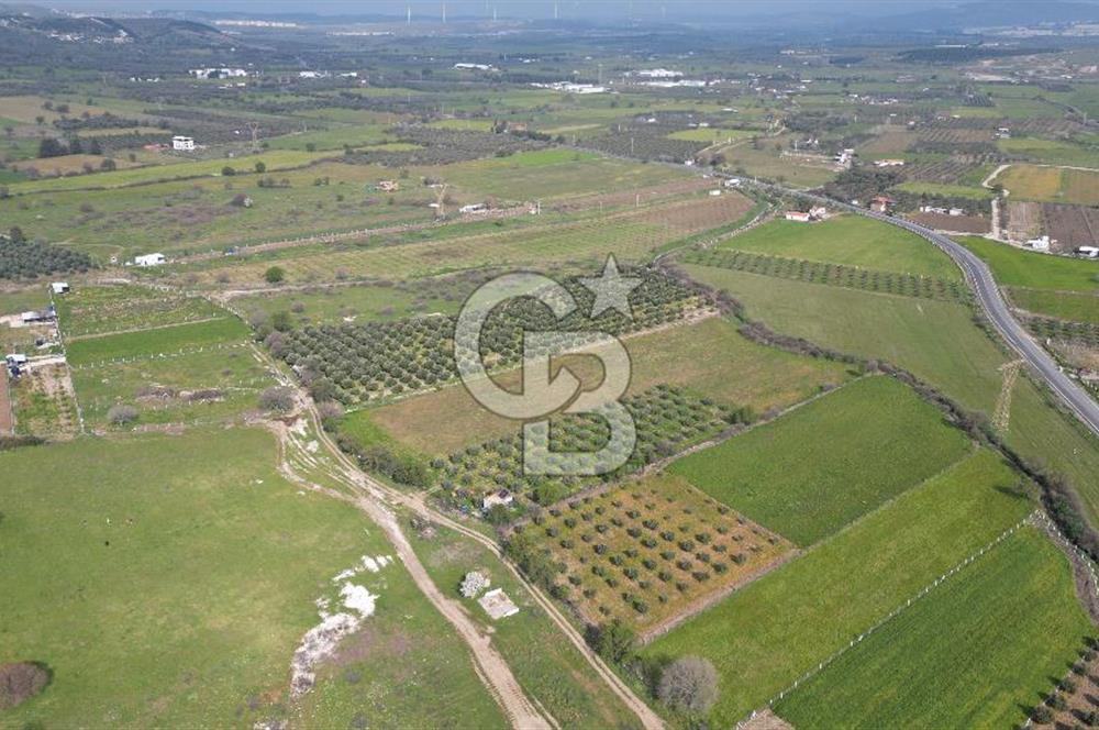 ALİAĞA ÇITAK'TA CB İYA'DAN SATILIK TARLA