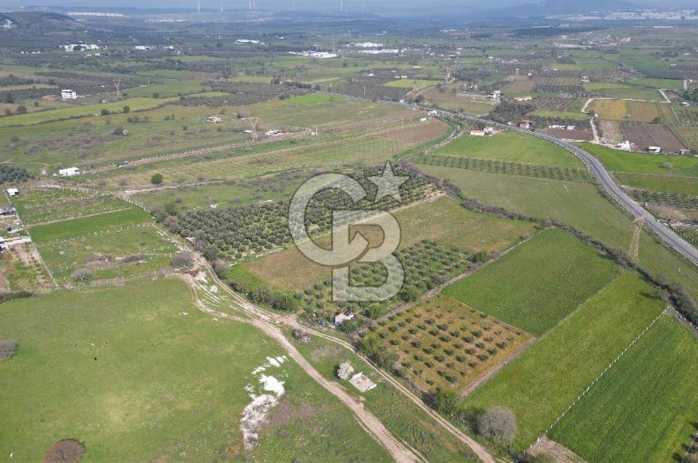 ALİAĞA ÇITAK'TA CB İYA'DAN SATILIK TARLA