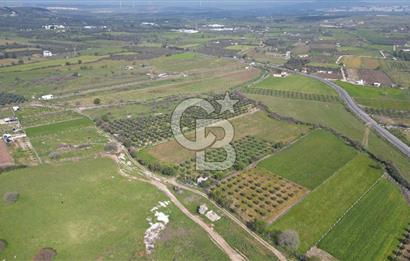 ALİAĞA ÇITAK'TA CB İYA'DAN SATILIK TARLA