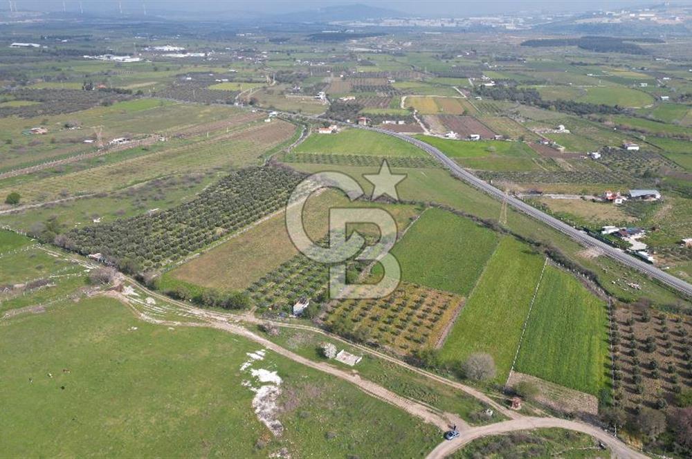 ALİAĞA ÇITAK'TA CB İYA'DAN SATILIK TARLA