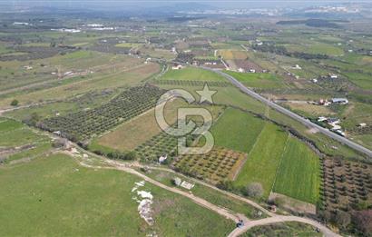 ALİAĞA ÇITAK'TA CB İYA'DAN SATILIK TARLA