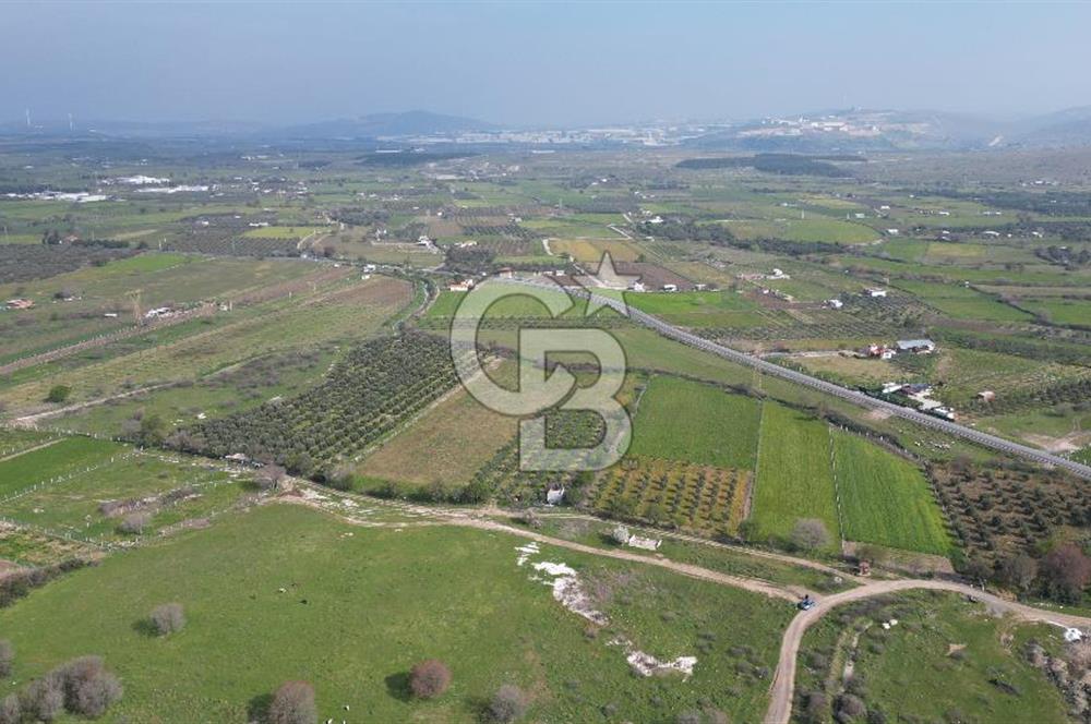 ALİAĞA ÇITAK'TA CB İYA'DAN SATILIK TARLA