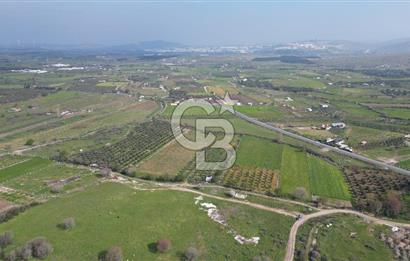 ALİAĞA ÇITAK'TA CB İYA'DAN SATILIK TARLA