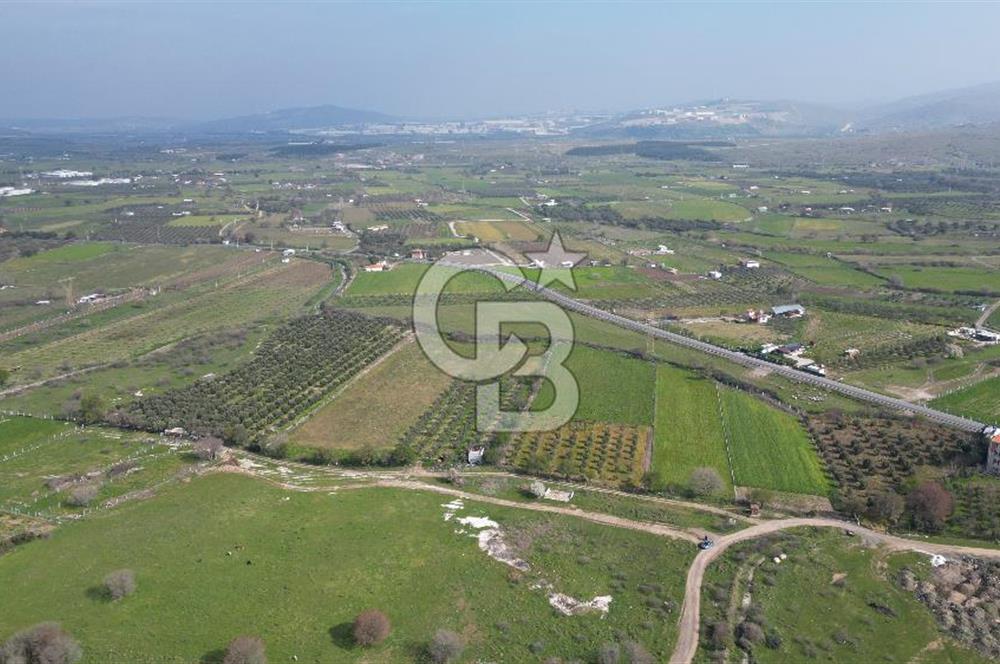 ALİAĞA ÇITAK'TA CB İYA'DAN SATILIK TARLA