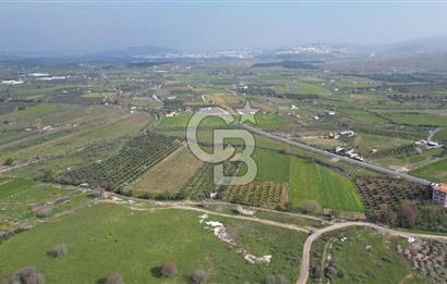 ALİAĞA ÇITAK'TA CB İYA'DAN SATILIK TARLA