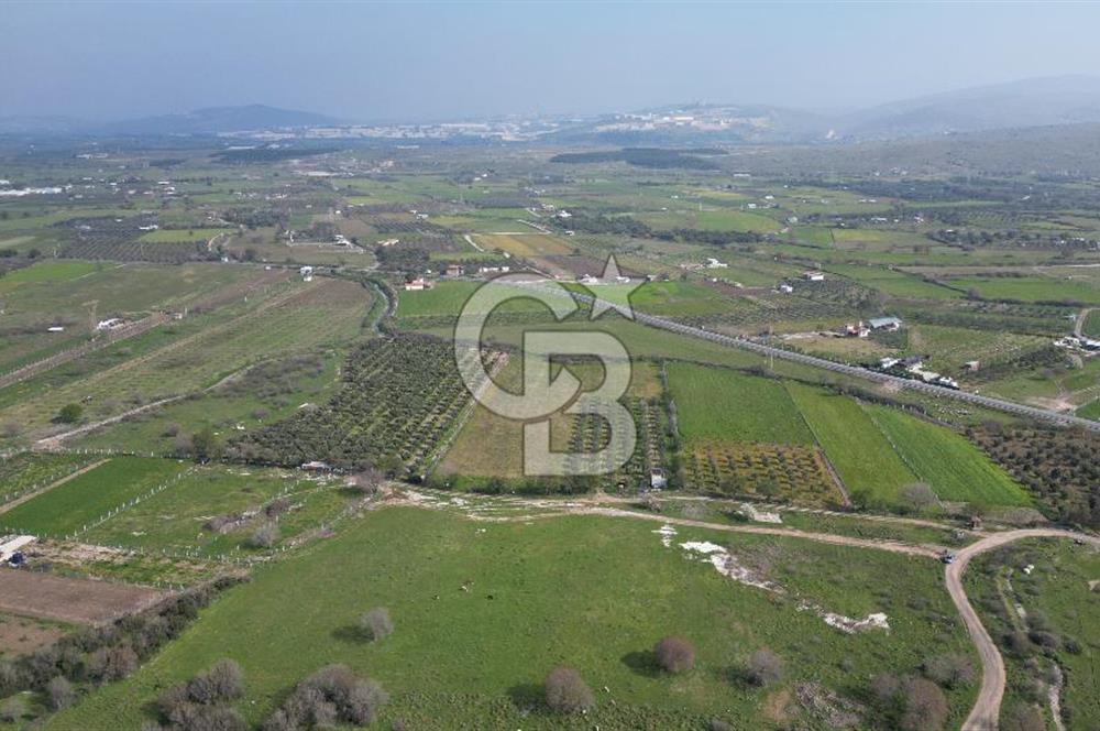 ALİAĞA ÇITAK'TA CB İYA'DAN SATILIK TARLA