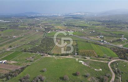 ALİAĞA ÇITAK'TA CB İYA'DAN SATILIK TARLA