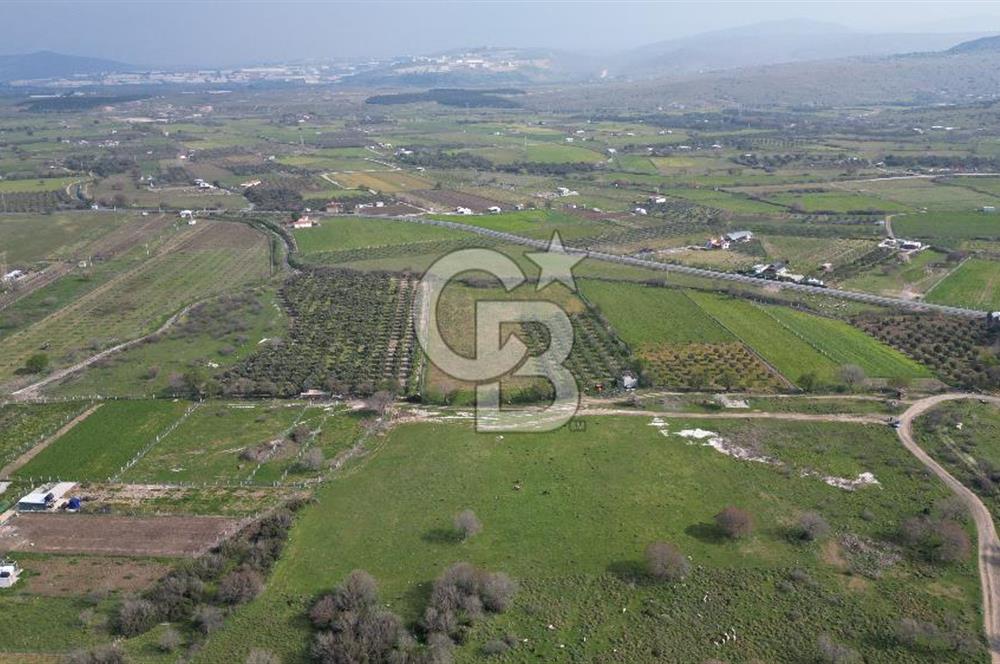 ALİAĞA ÇITAK'TA CB İYA'DAN SATILIK TARLA