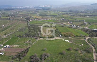 ALİAĞA ÇITAK'TA CB İYA'DAN SATILIK TARLA