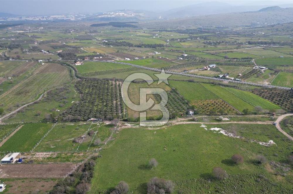 ALİAĞA ÇITAK'TA CB İYA'DAN SATILIK TARLA