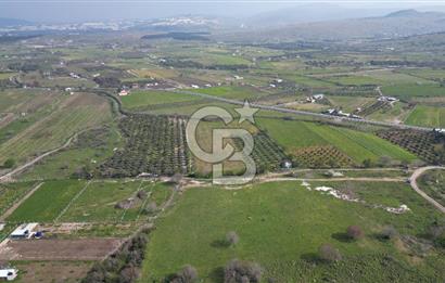 ALİAĞA ÇITAK'TA CB İYA'DAN SATILIK TARLA