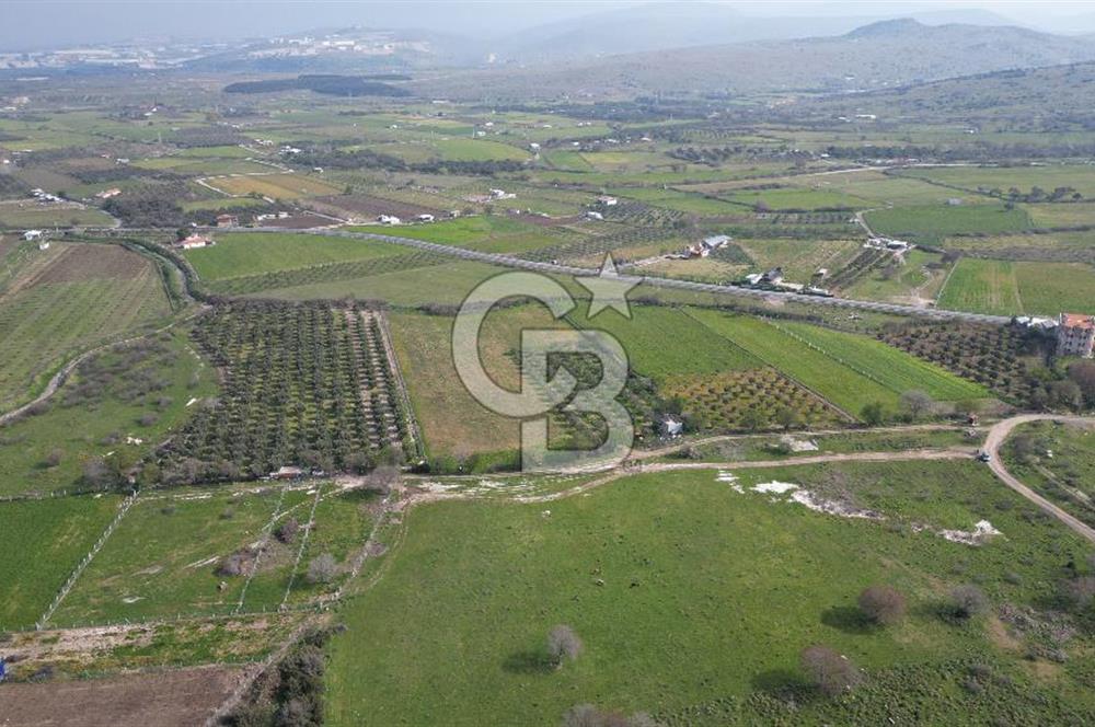 ALİAĞA ÇITAK'TA CB İYA'DAN SATILIK TARLA