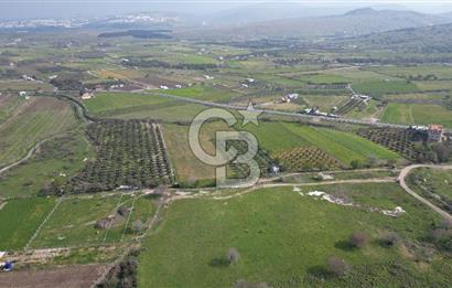 ALİAĞA ÇITAK'TA CB İYA'DAN SATILIK TARLA