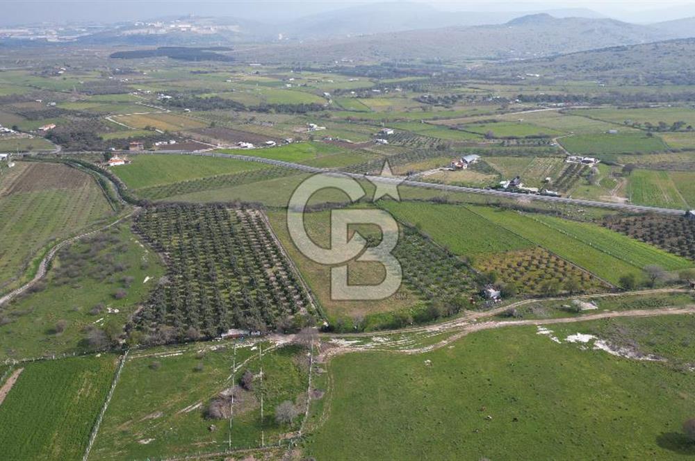 ALİAĞA ÇITAK'TA CB İYA'DAN SATILIK TARLA