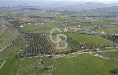 ALİAĞA ÇITAK'TA CB İYA'DAN SATILIK TARLA