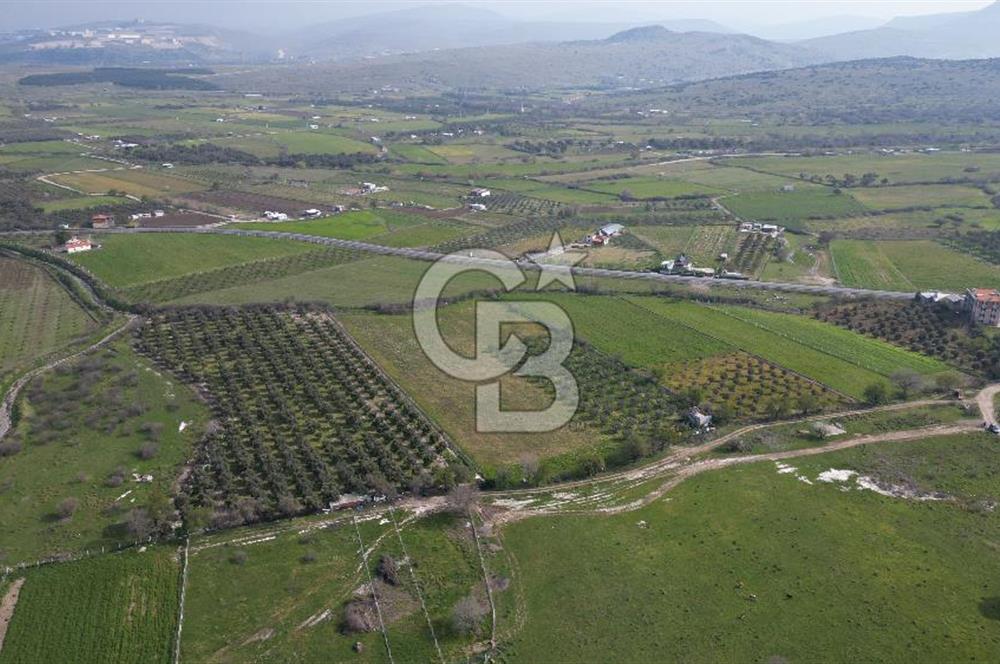 ALİAĞA ÇITAK'TA CB İYA'DAN SATILIK TARLA