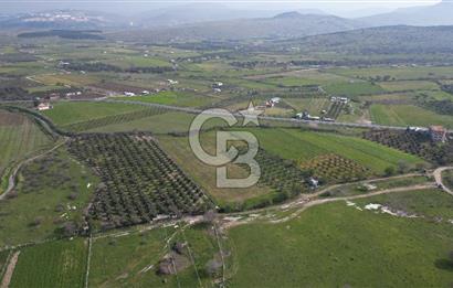 ALİAĞA ÇITAK'TA CB İYA'DAN SATILIK TARLA