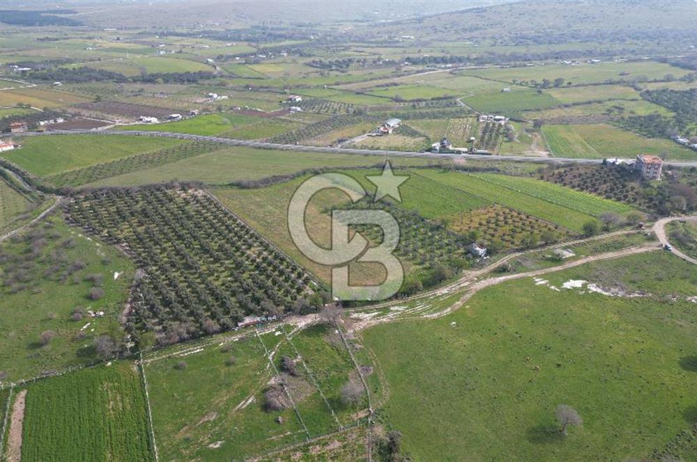 ALİAĞA ÇITAK'TA CB İYA'DAN SATILIK TARLA