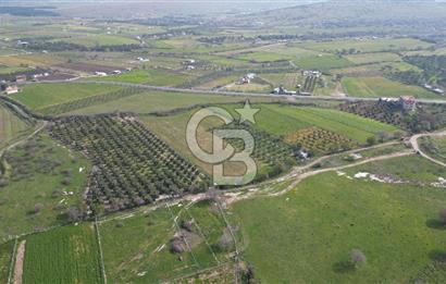 ALİAĞA ÇITAK'TA CB İYA'DAN SATILIK TARLA