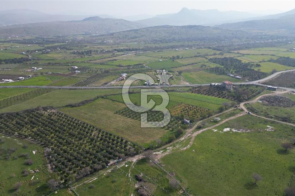 ALİAĞA ÇITAK'TA CB İYA'DAN SATILIK TARLA