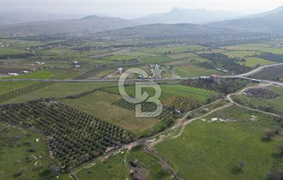 ALİAĞA ÇITAK'TA CB İYA'DAN SATILIK TARLA