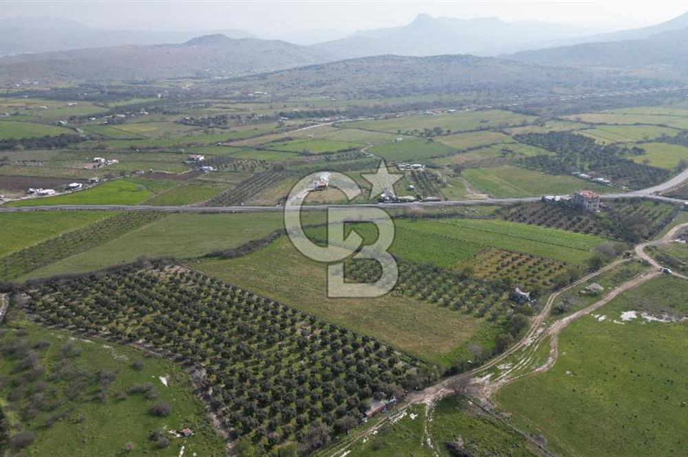 ALİAĞA ÇITAK'TA CB İYA'DAN SATILIK TARLA