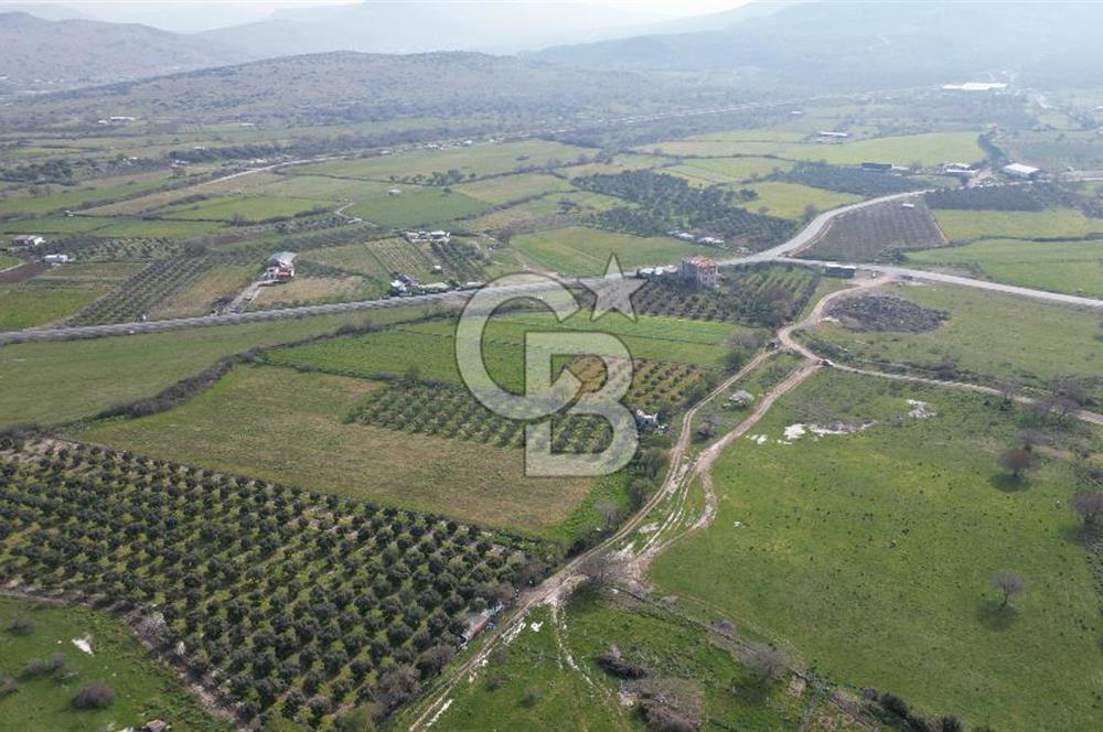 ALİAĞA ÇITAK'TA CB İYA'DAN SATILIK TARLA