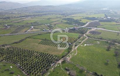 ALİAĞA ÇITAK'TA CB İYA'DAN SATILIK TARLA