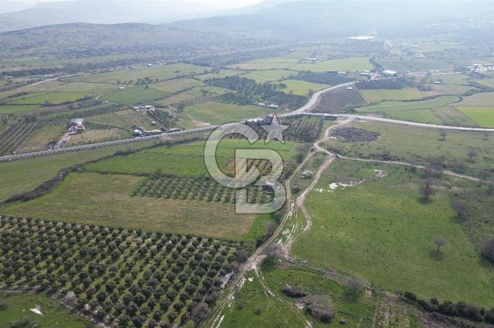 ALİAĞA ÇITAK'TA CB İYA'DAN SATILIK TARLA