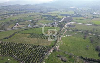 ALİAĞA ÇITAK'TA CB İYA'DAN SATILIK TARLA