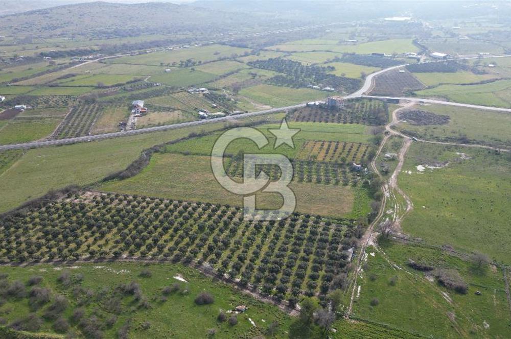 ALİAĞA ÇITAK'TA CB İYA'DAN SATILIK TARLA