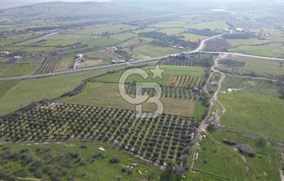 ALİAĞA ÇITAK'TA CB İYA'DAN SATILIK TARLA