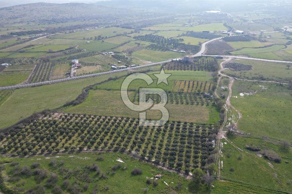 ALİAĞA ÇITAK'TA CB İYA'DAN SATILIK TARLA