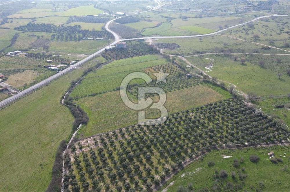 ALİAĞA ÇITAK'TA CB İYA'DAN SATILIK TARLA