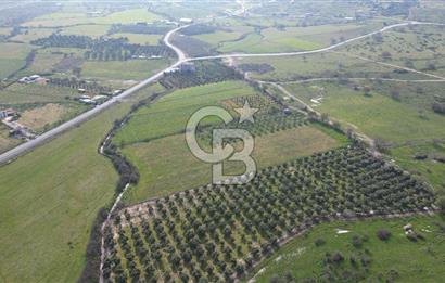 ALİAĞA ÇITAK'TA CB İYA'DAN SATILIK TARLA