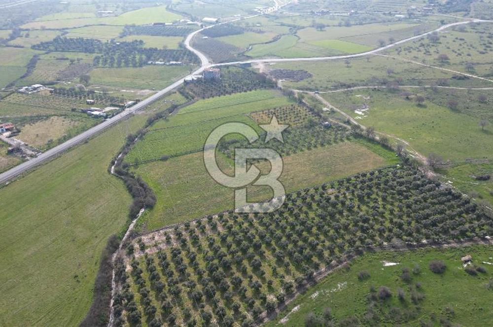 ALİAĞA ÇITAK'TA CB İYA'DAN SATILIK TARLA