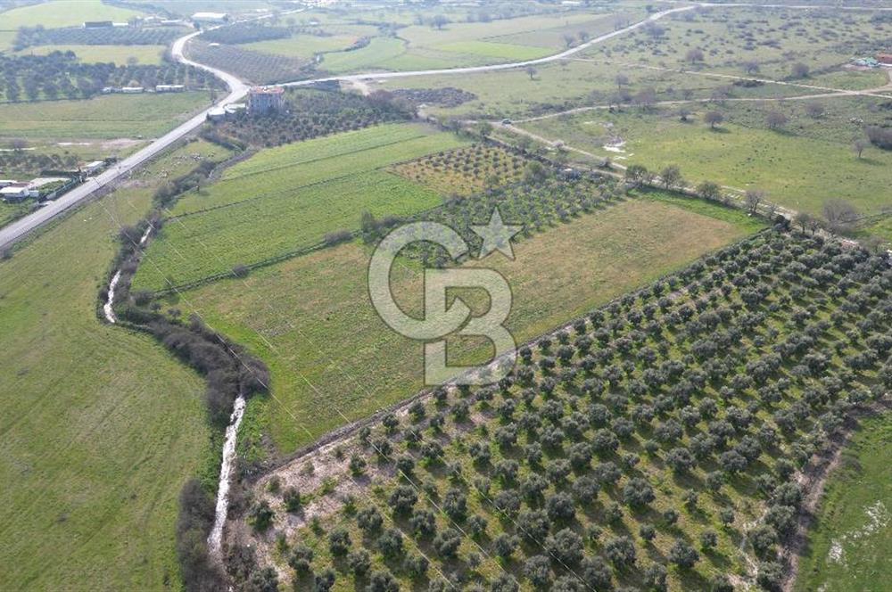 ALİAĞA ÇITAK'TA CB İYA'DAN SATILIK TARLA