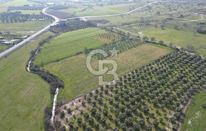 ALİAĞA ÇITAK'TA CB İYA'DAN SATILIK TARLA