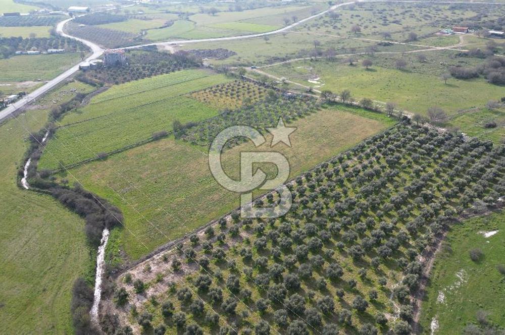 ALİAĞA ÇITAK'TA CB İYA'DAN SATILIK TARLA