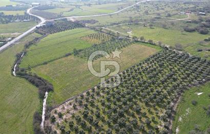 ALİAĞA ÇITAK'TA CB İYA'DAN SATILIK TARLA