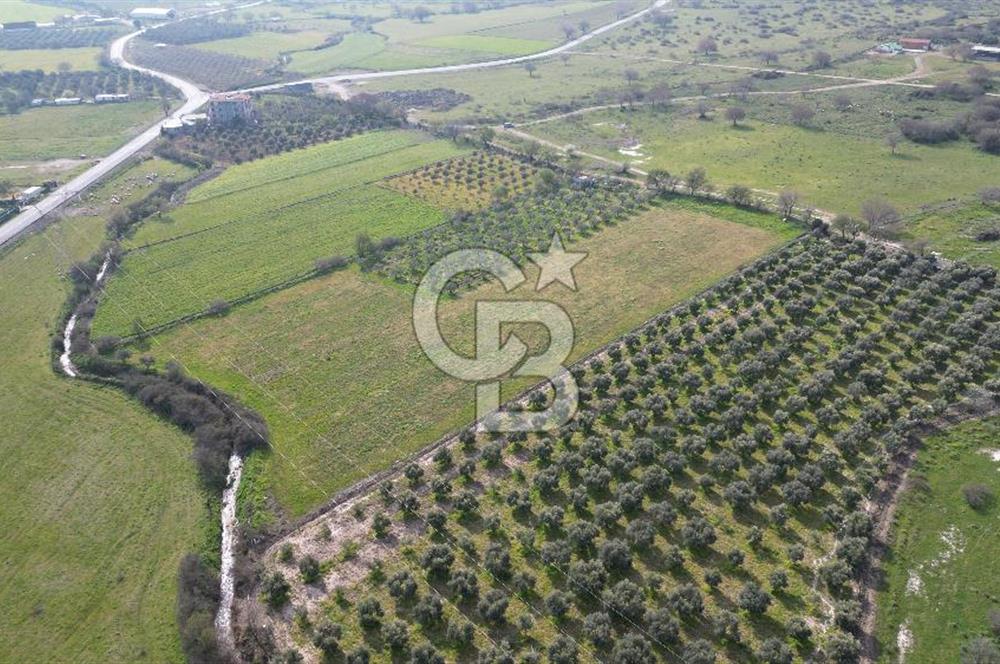 ALİAĞA ÇITAK'TA CB İYA'DAN SATILIK TARLA
